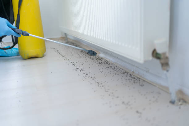 Pest Prevention Services in Claremont, CA